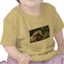 Horse - White Stallion T-shirts