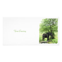 HORSES CUSTOMISED PHOTO CARD