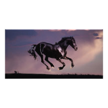 Horses Dance silhouette at sunset Photo Greeting Card