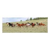 Horses Enjoying the Wide Open West Photo Art