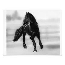 Horses glancing sideways announcement