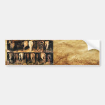 Horses' Hindquarters, Parchment Bumper Sticker