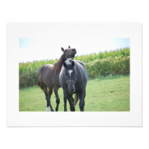 Horses in Love Custom Invite