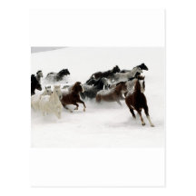 Horses in the snow post card