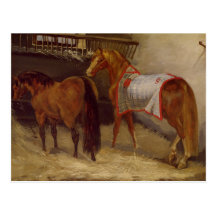 Horses in the Stables Postcards
