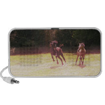 horses kicking up fun mp3 speaker