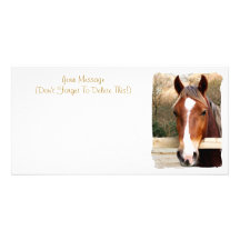 HORSES PHOTO CARDS
