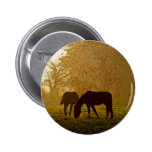 Horses Pop Art Pinback Buttons