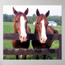 Horses Poster