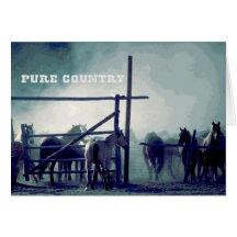 Horses Pure Country Card