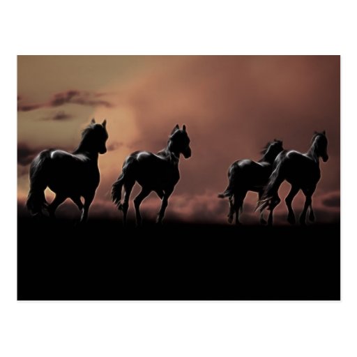 Horses running wild at sunset postcards
