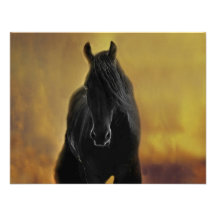 Horses silhouette personalized announcements