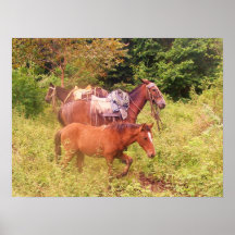 horses south america print