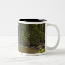 Horseshoe Falls, Matai Falls Mugs