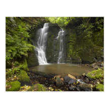 Horseshoe Falls, Matai Falls Postcard