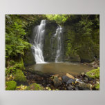 Horseshoe Falls, Matai Falls Posters