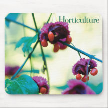 Horticulture Mousepad (Euonymous americana)