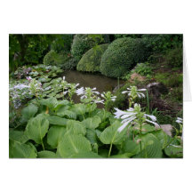 Hosta in a Zen Garden #2 Greeting Card