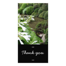 Hosta in a Zen Garden Personalized Photo Card