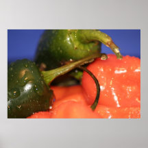 Hot Peppers! Print