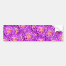 Hot pink roses bumper sticker