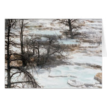 Hot Springs in New Zealand cards