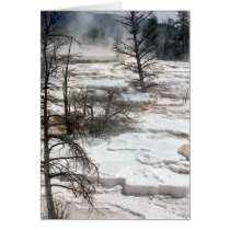 Hot Springs in New Zealand cards