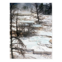 Hot Springs in New Zealand postcards