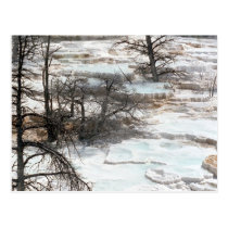 Hot Springs in New Zealand postcards