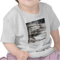 Hot Springs in New Zealand t-shirts