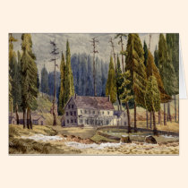 Hotel at the Grove of Mamoth Trees cards