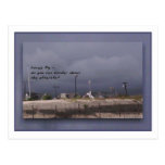 House Fly Post Card