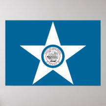 Houston Flag Posters