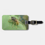 Hoverfly Macro Custom Luggage Tag
