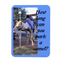 How long can you park a camel magnet?
