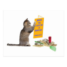 How to catch a mouse post card