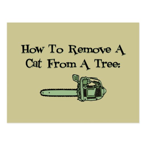 How to remove a cat from a tree post cards