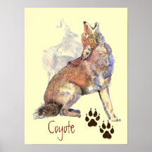 Howling Coyote Poster