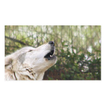 Howling grey wolf business card