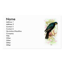 Huia Business Card Template