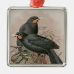 Huia Christmas Ornament