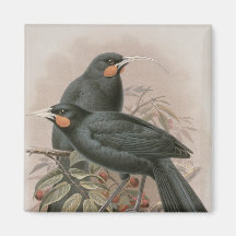 Huia Refrigerator Magnet