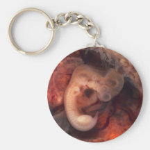 Human Embryo 7th Week of Pregnancy 5th Peek P.O. Keychains
