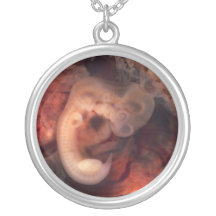 Human Embryo 7th Week of Pregnancy 5th Peek P.O. Necklaces