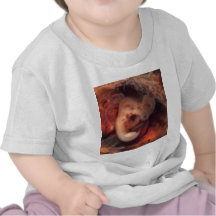 Human Embryo 7th Week of Pregnancy 5th Peek P.O. Tee Shirts
