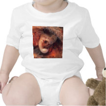 Human Embryo 7th Week of Pregnancy 5th Peek P.O. Baby Creeper