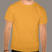 Human Evolution Tai Chi t-shirts