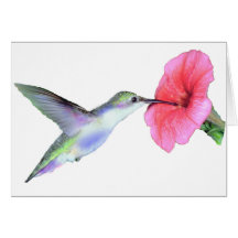 Humming Bird Card