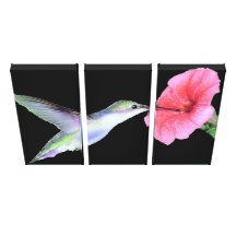 Humming Bird Gallery Wrap Canvas