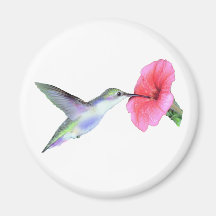 Humming Bird Magnet